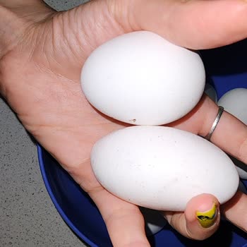 A101 Yeniköy Çiftliği Uzun İnce Formda Üstelikte Hasarlı Yumurta
