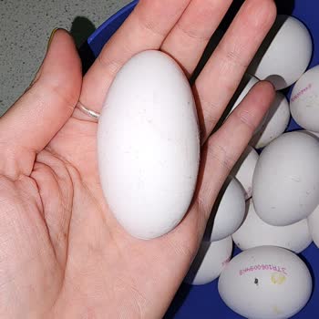 A101 Yeniköy Çiftliği Uzun İnce Formda Üstelikte Hasarlı Yumurta