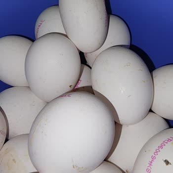 A101 Yeniköy Çiftliği Uzun İnce Formda Üstelikte Hasarlı Yumurta