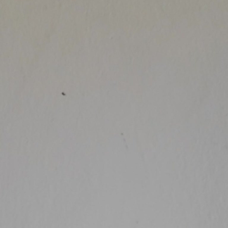 Fitkivi Ürün Ve Hizmetlerinden Memnuniyetsizlik