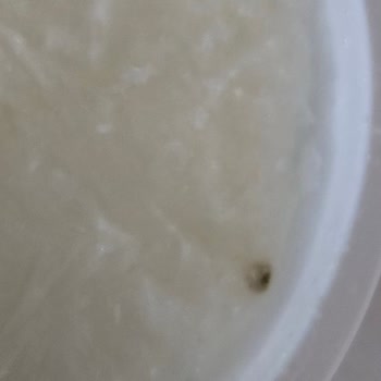 Sütaş Son Kullanım Tarihi Henüz Gelmemiş Küflü Yoğurt