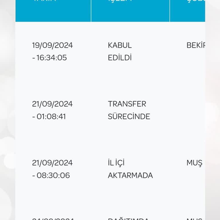 PTT Kargo İlgisiz Bir Çalışma
