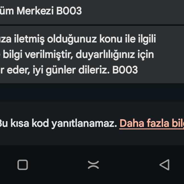 İstanbul Büyükşehir Belediyesi Sokak Hayvanları Ölümü Hak Etmiyor