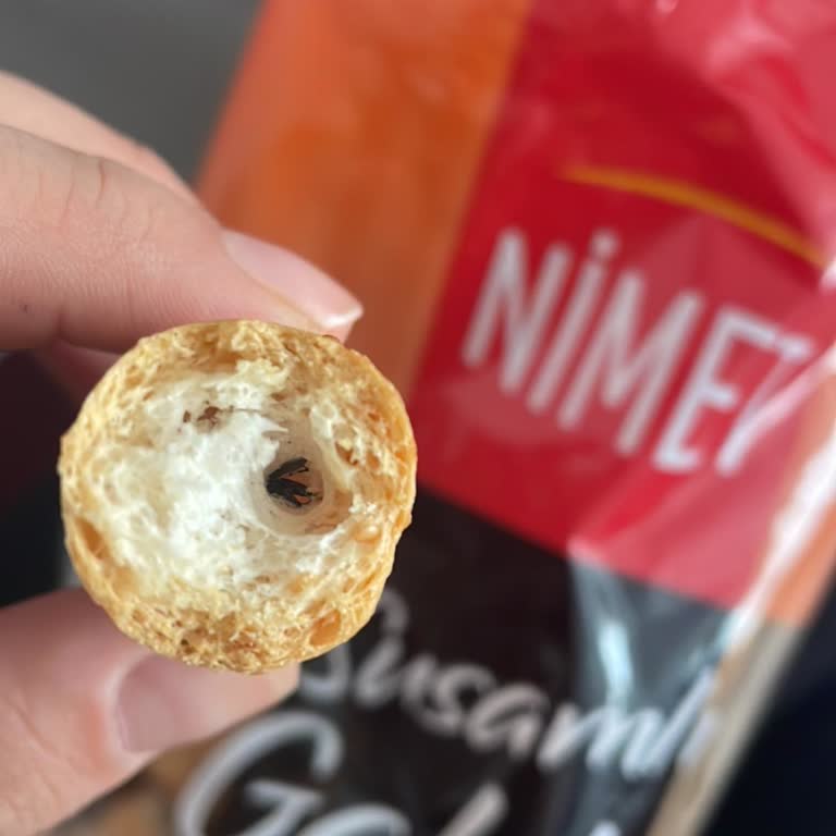 A101 Galetasında Böcek