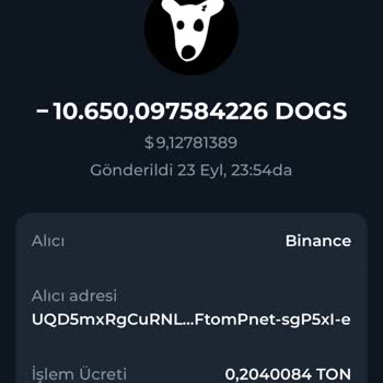 Binance Ton Keeper Uygulamasında Kaybolan Dogs Coinlerim