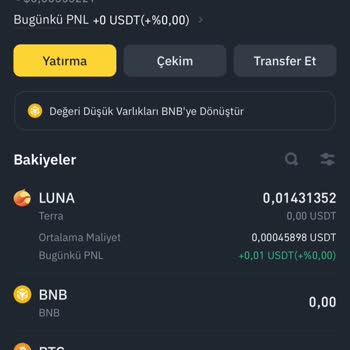 Binance Ton Keeper Uygulamasında Kaybolan Dogs Coinlerim