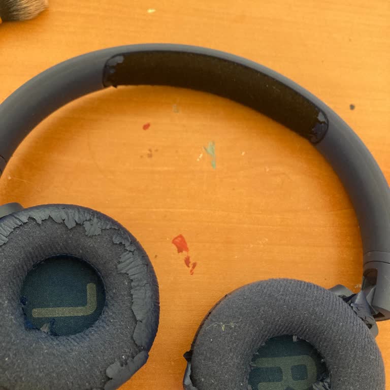 JBL Derisi Soyuluyor Lütfen İlgilenilsin