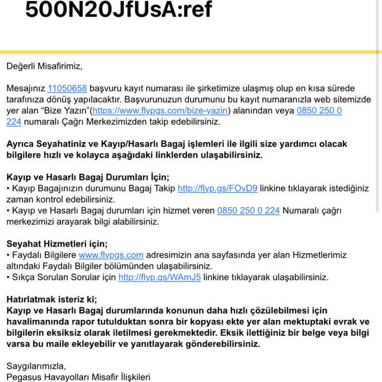 Pegasus Kayıp Bagaj İle İlgilenmiyor