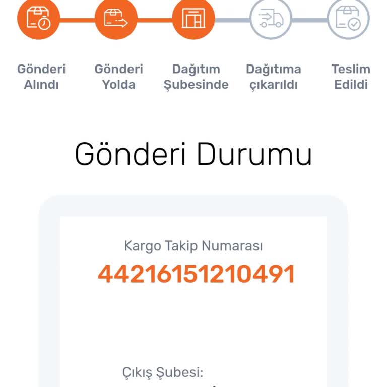 Sürat Kargo Cevizli Mikro Şubesi