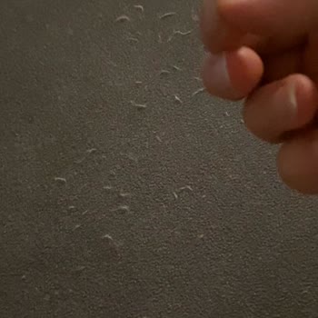 İstikbal Koltuk Takımı Tüylenmesi
