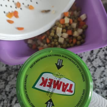 Tamek Garnitür İçinden Böcek Çıktı