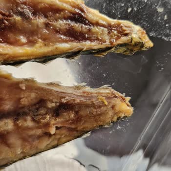 Balık Dünyası Bozuk Balık A101 Market