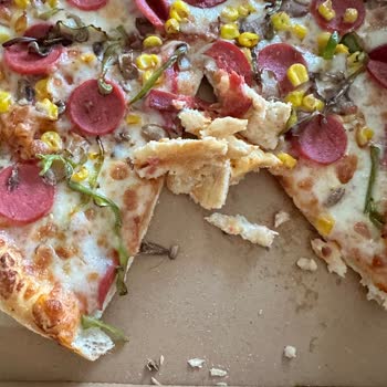 Terra Pizza Çıkan Kocaman Böcek