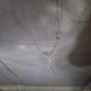 Başta Nef Ve İnistanbul Site Yönetiminden Şikayetçiyim