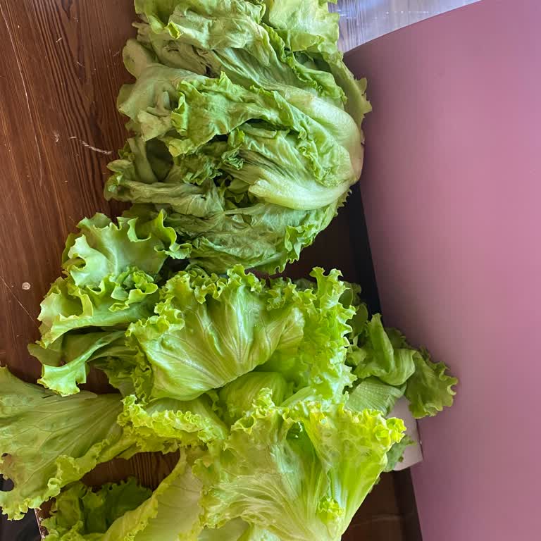 Migros Siparişimde Yenmeyecek Çöp Marulun Gönderilmesi