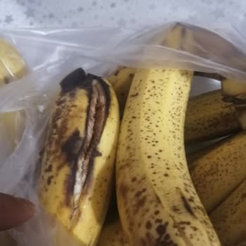Migros Sattığı Ürünün Arkasında Olmasını Beklerdim.
