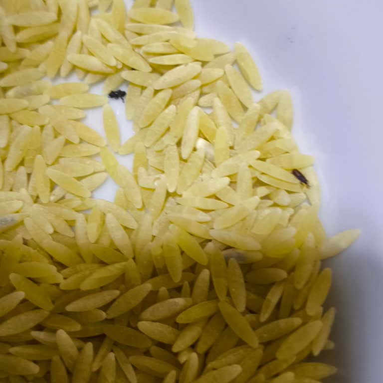Bizim Toptan Market Şehriyeden Böcek Çıktı