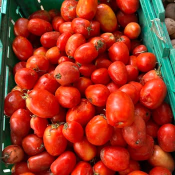 Bozuk Ürünleri Satan Şok Market
