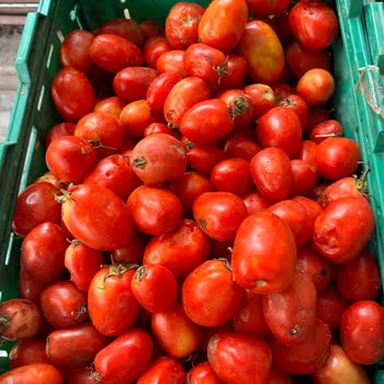 Bozuk Ürünleri Satan Şok Market