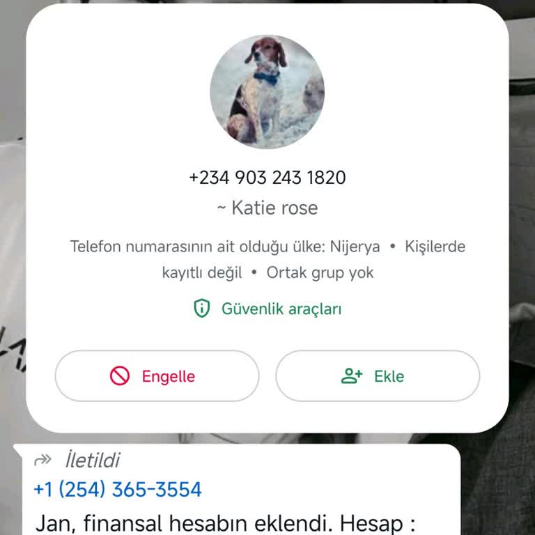 Finans Kuruluşları Adıyla Dolandırıcılık WhatsApp Hesap Açıldı Şikayet