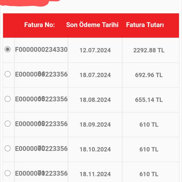 Evkur Fazla Yansıtılan Taksit Tutarı