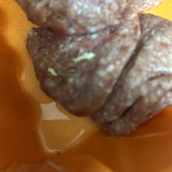 Köfteci Yusuf’dan Aldığım Köfteler Kurtlu