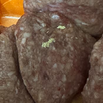 Köfteci Yusuf’dan Aldığım Köfteler Kurtlu