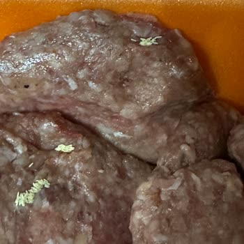 Köfteci Yusuf’dan Aldığım Köfteler Kurtlu