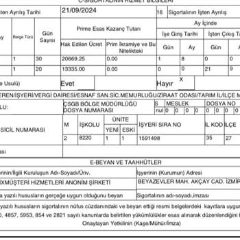 Concentrix Webhelp İzmir İstifa