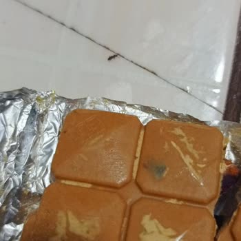 Ülker Beyaz Çikolata İçinde Böcek Ve Küf Sorunu