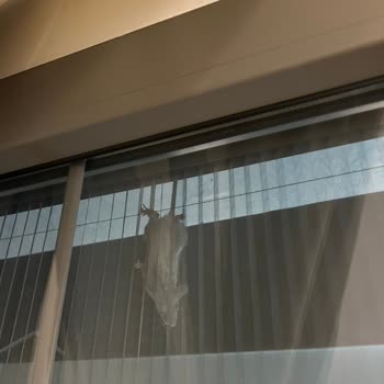 Sabel Villas Fare İle Tatil Yapmak İstiyorsanız Gidin