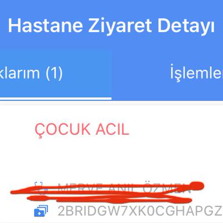 Nestle Gerber Katkı Maddesi