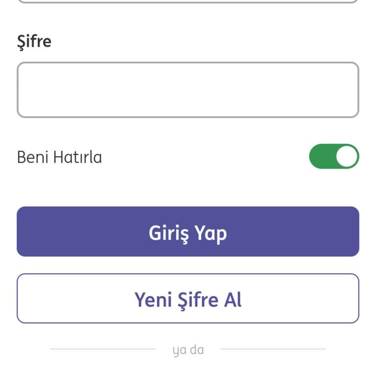 ING Bank Kimlik Tarama Sorunu