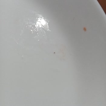 Beko Bulaşık Makinesi Kir Bırakıyor.