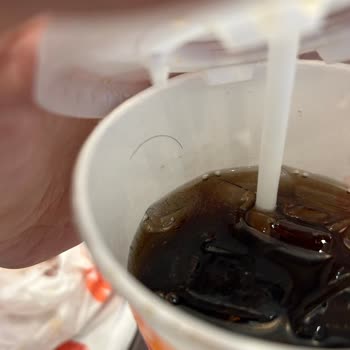 Burger King Kolanın İçindeki Kıl