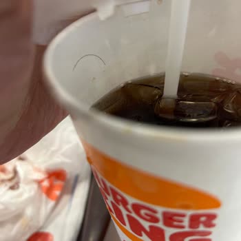 Burger King Kolanın İçindeki Kıl