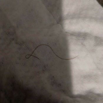 Golf Dondurma Dondurmada Hijyen Sorunu: Sağlığımız Tehlikede