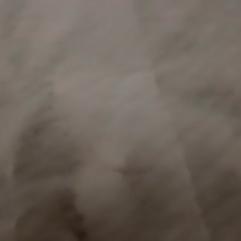 Golf Dondurma Dondurmada Hijyen Sorunu: Sağlığımız Tehlikede