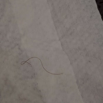 Golf Dondurma Dondurmada Hijyen Sorunu: Sağlığımız Tehlikede