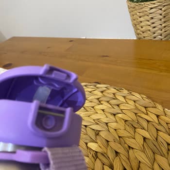 Skip Hop Çelik Suluk Kapağı