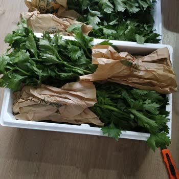 Taze Dükkan Yanıltıcı Ürün Ve İlgisiz Müşteri Hizmeti