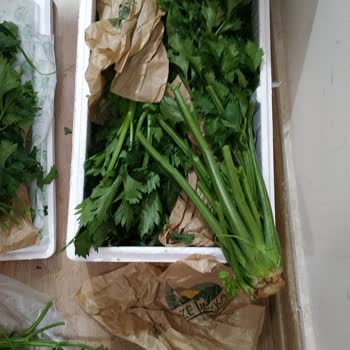 Taze Dükkan Yanıltıcı Ürün Ve İlgisiz Müşteri Hizmeti