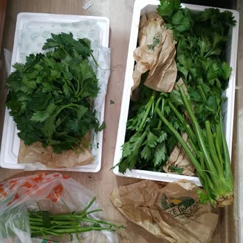 Taze Dükkan Yanıltıcı Ürün Ve İlgisiz Müşteri Hizmeti