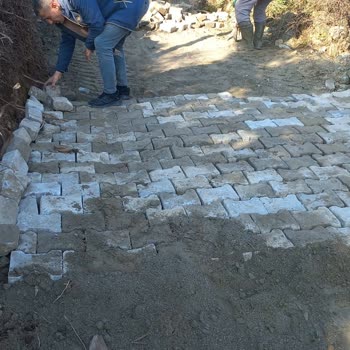 Söke Belediyesi Bahçe Yoluna Destek İstiyoruz