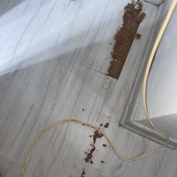 Vestel Buzdolabının Evimize Vermiş Olduğu Zarar