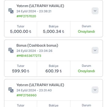 Bayspin Sitesinde Sürekli Kayıp Ve Hesap Kapatma Sorunu
