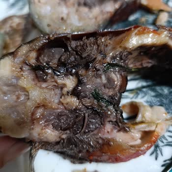 A101 Somon Balık Bozuk