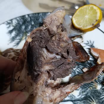 A101 Somon Balık Bozuk