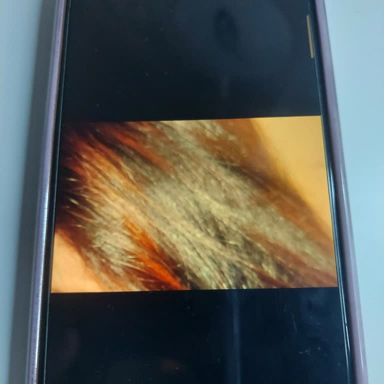 Gratis Beauty'de Saç Boyama Hizmeti Felaketi