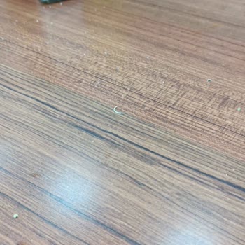 Köfteci Yusuf Kahvaltıda Tırnak Çıktı